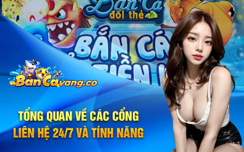 Tổng quan về các cổng liên hệ 24/7 và tính năng 