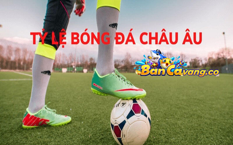 Ba Lựa Chọn Cược Chính Trong Kèo Châu Âu tại bancavang