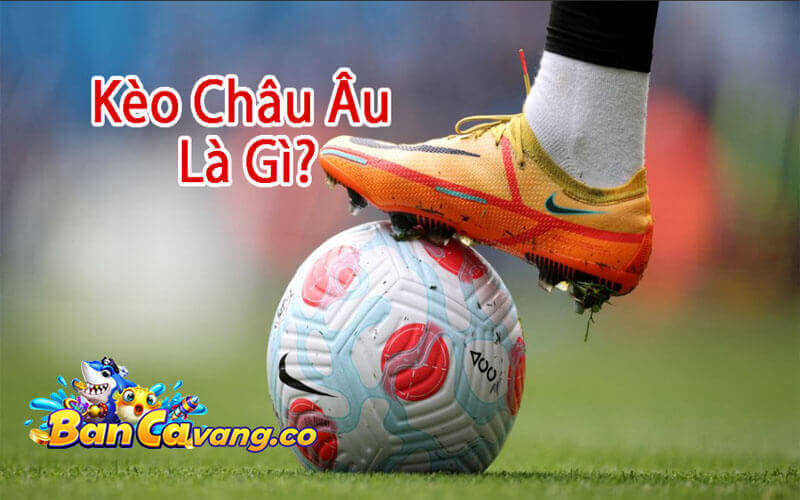 Những điều cơ bản về kèo Châu Âu trước khi đặt cược